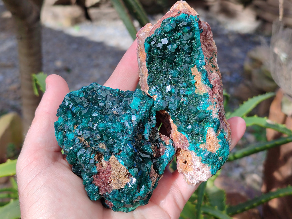 Natural Dioptase On Dolomite Specimens x 3 From Likasi, Congo - Toprock Gemstones and Minerals 
