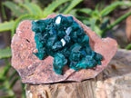 Natural Dioptase On Dolomite Specimens x 3 From Likasi, Congo - Toprock Gemstones and Minerals 