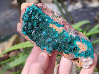 Natural Dioptase On Dolomite Specimens x 3 From Likasi, Congo - Toprock Gemstones and Minerals 