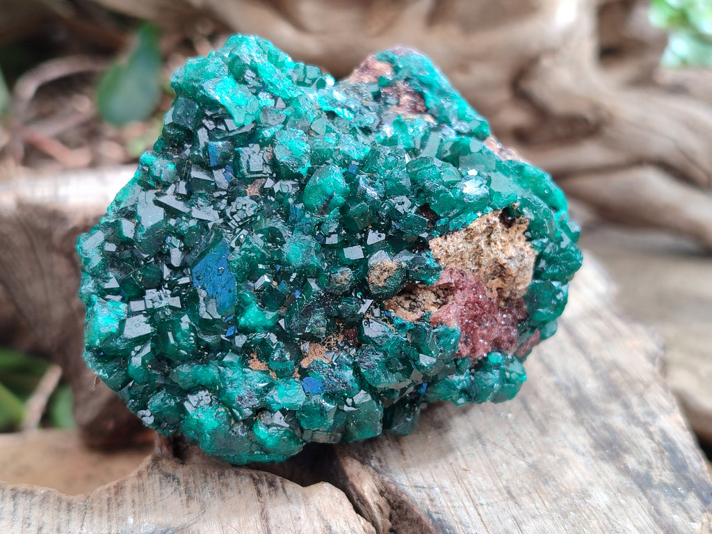 Natural Dioptase On Dolomite Specimens x 3 From Likasi, Congo - Toprock Gemstones and Minerals 