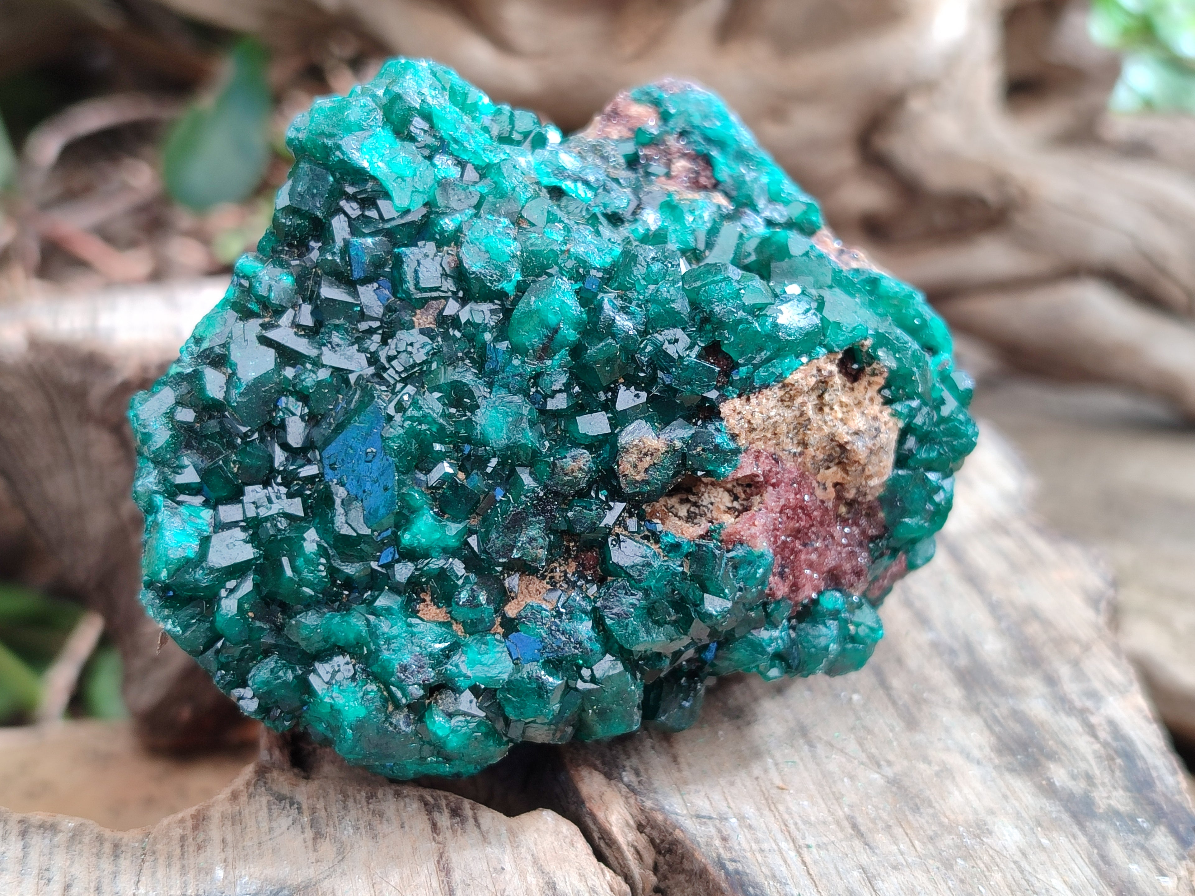 Natural Dioptase On Dolomite Specimens x 3 From Likasi, Congo - Toprock Gemstones and Minerals 