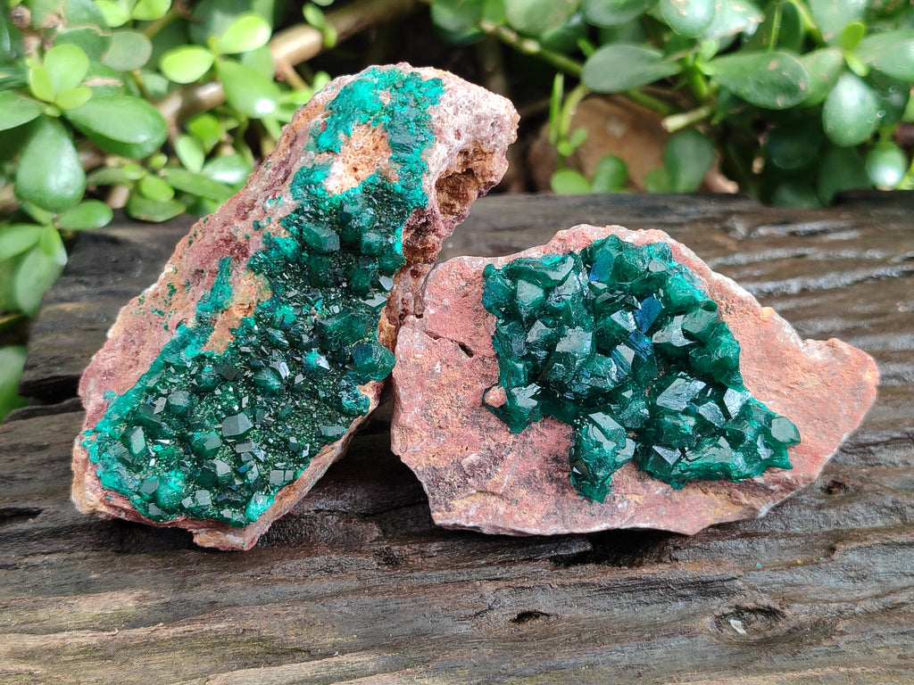 Natural Dioptase On Dolomite Specimens x 3 From Likasi, Congo - Toprock Gemstones and Minerals 