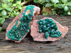 Natural Dioptase On Dolomite Specimens x 3 From Likasi, Congo - Toprock Gemstones and Minerals 