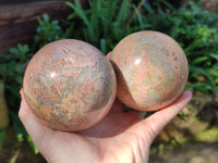 Polished Runestone Feldspar Spheres x 2 From Zimbabwe - Toprock Gemstones and Minerals 