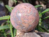 Polished Runestone Feldspar Spheres x 2 From Zimbabwe - Toprock Gemstones and Minerals 