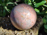 Polished Runestone Feldspar Spheres x 2 From Zimbabwe - Toprock Gemstones and Minerals 