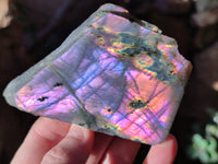 Polished On One Side Large Purple Flash Labradorite Plates x 6 From Tulear, Madagascar