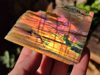 Polished On One Side Large Purple Flash Labradorite Plates x 6 From Tulear, Madagascar