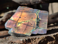 Polished On One Side Large Purple Flash Labradorite Plates x 6 From Tulear, Madagascar