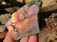 Polished On One Side Large Purple Flash Labradorite Plates x 6 From Tulear, Madagascar