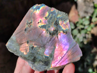 Polished On One Side Large Purple Flash Labradorite Plates x 6 From Tulear, Madagascar