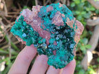 Natural Large Dioptase On Dolomite Specimens x 3 From Mashamba East Mine, Congo - Toprock Gemstones and Minerals 