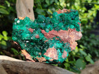 Natural Large Dioptase On Dolomite Specimens x 3 From Mashamba East Mine, Congo - Toprock Gemstones and Minerals 