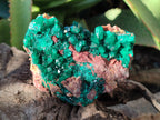 Natural Large Dioptase On Dolomite Specimens x 3 From Mashamba East Mine, Congo - Toprock Gemstones and Minerals 