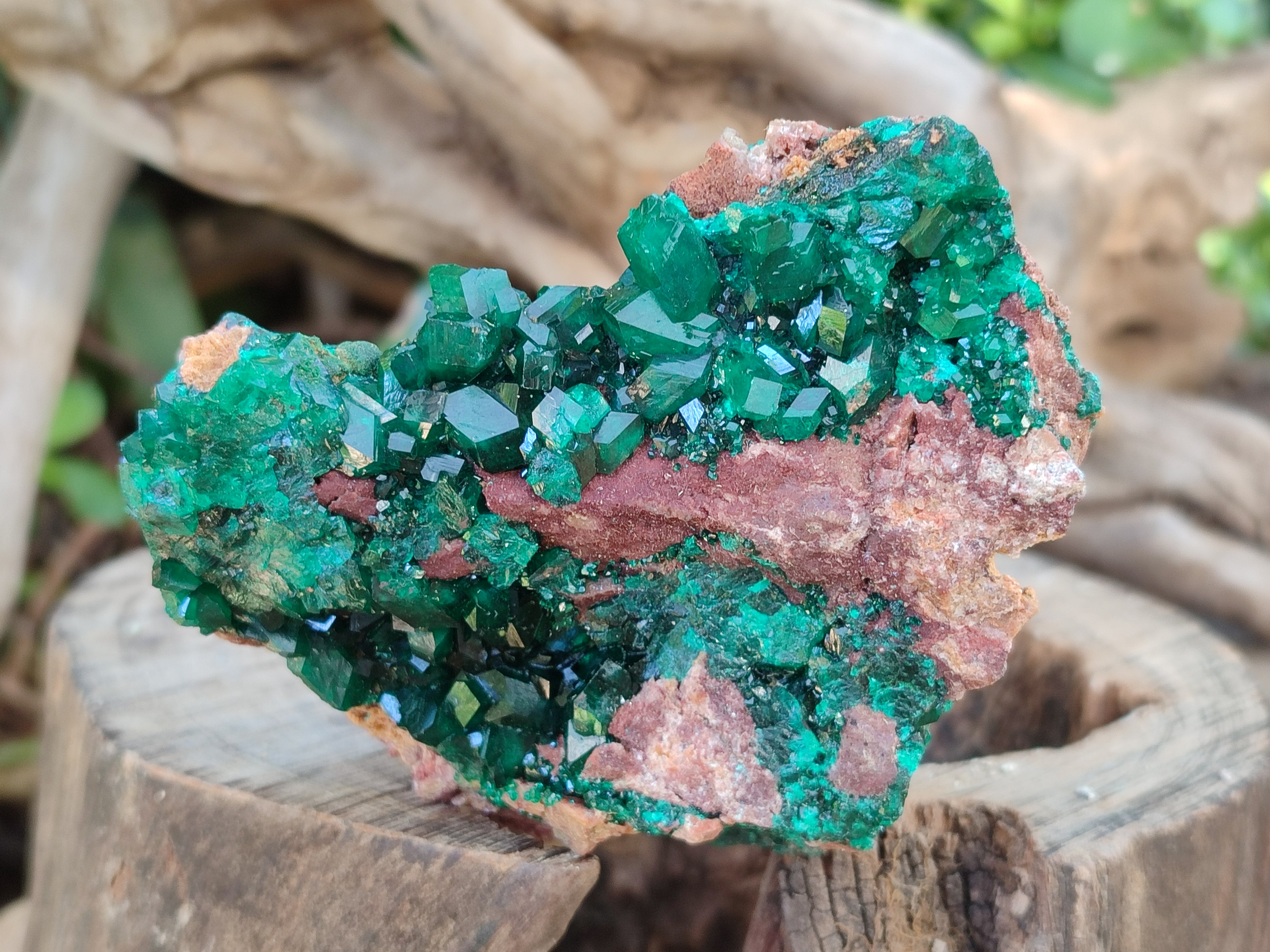 Natural Large Dioptase On Dolomite Specimens x 3 From Mashamba East Mine, Congo - Toprock Gemstones and Minerals 