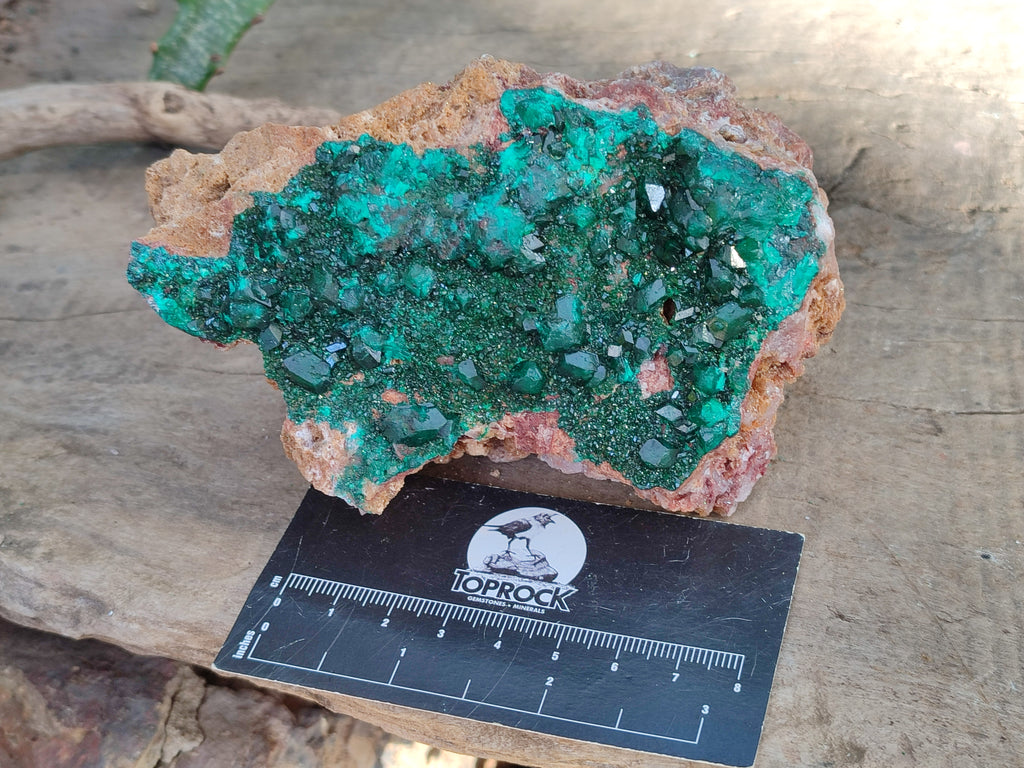 Natural Large Dioptase On Dolomite Specimens x 3 From Mashamba East Mine, Congo - Toprock Gemstones and Minerals 