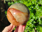 Polished Polychrome Jasper Spheres x 2 From Northwest Coast, Madagascar - Toprock Gemstones and Minerals 