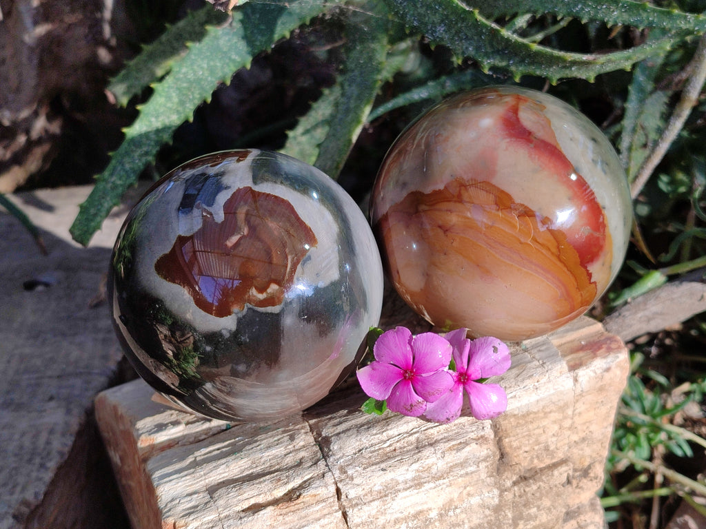Polished Polychrome Jasper Spheres x 2 From Northwest Coast, Madagascar - Toprock Gemstones and Minerals 