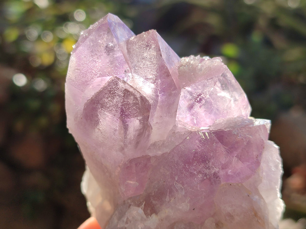 Natural Jacaranda Amethyst Quartz Cluster x 6 From Mumbwa, Zambia - Toprock Gemstones and Minerals 