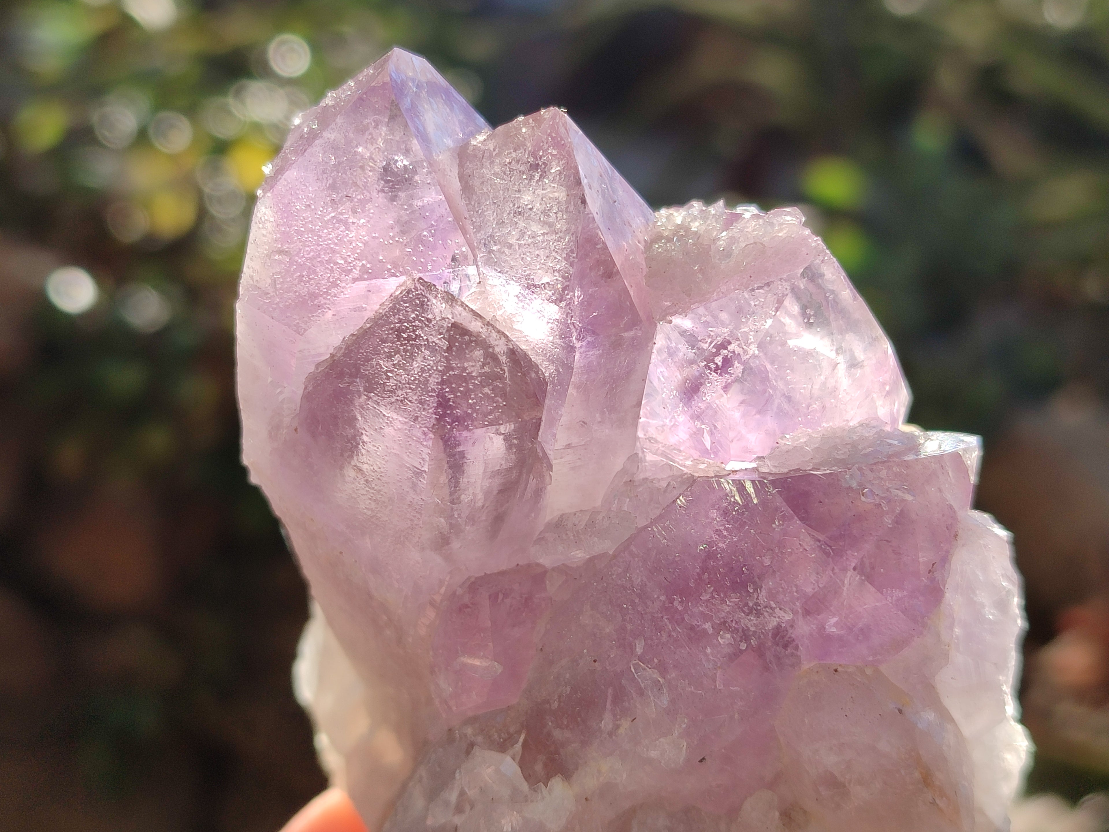 Natural Jacaranda Amethyst Quartz Cluster x 6 From Mumbwa, Zambia - Toprock Gemstones and Minerals 