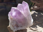 Natural Jacaranda Amethyst Quartz Cluster x 6 From Mumbwa, Zambia - Toprock Gemstones and Minerals 