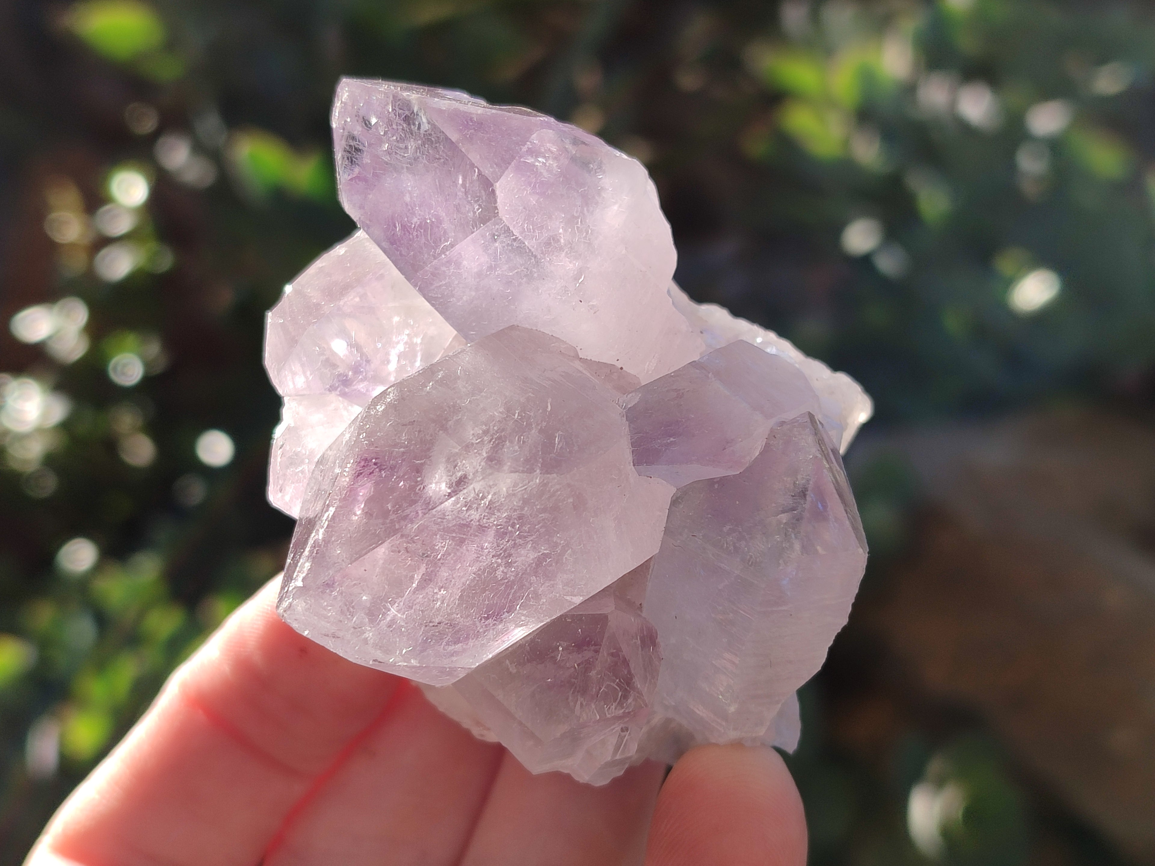 Natural Jacaranda Amethyst Quartz Cluster x 6 From Mumbwa, Zambia - Toprock Gemstones and Minerals 