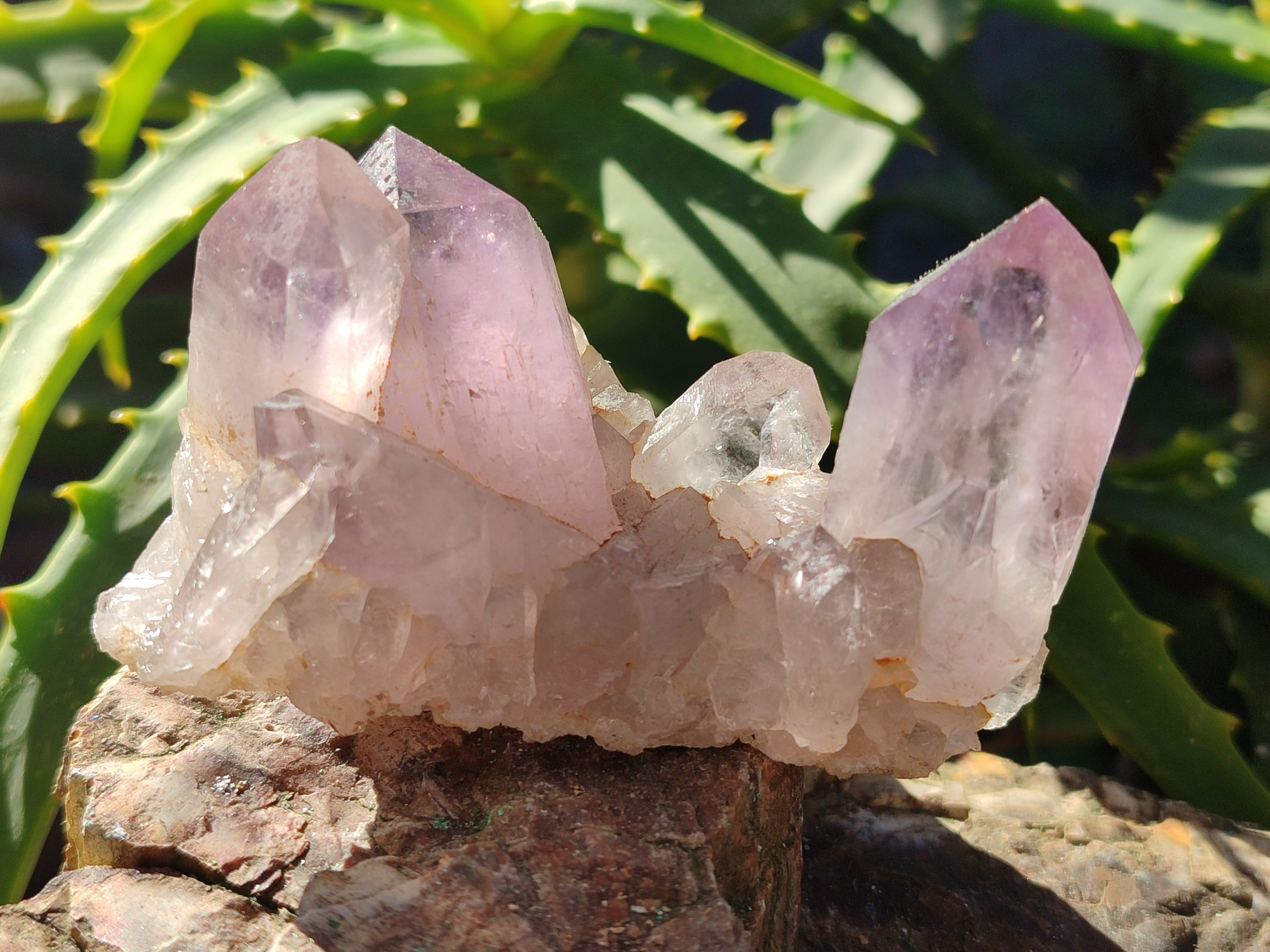 Natural Jacaranda Amethyst Quartz Cluster x 6 From Mumbwa, Zambia - Toprock Gemstones and Minerals 