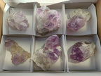 Natural Jacaranda Amethyst Quartz Cluster x 6 From Mumbwa, Zambia - Toprock Gemstones and Minerals 