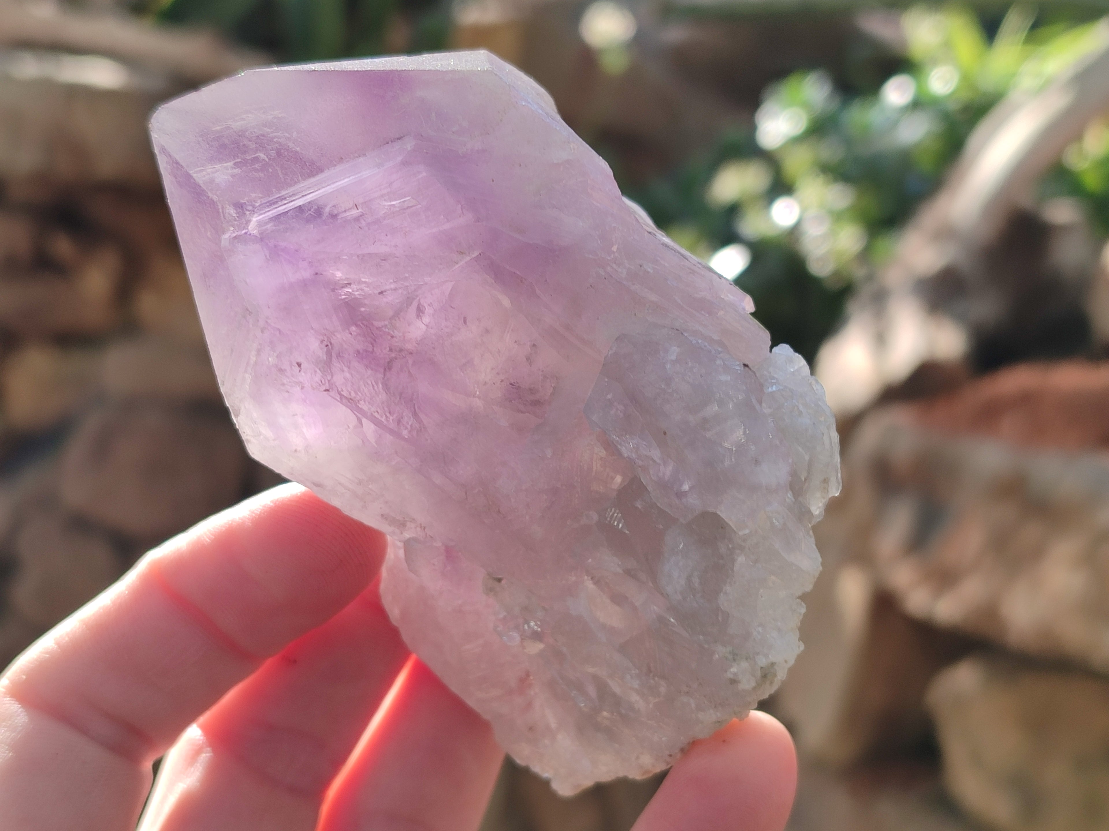 Natural Jacaranda Amethyst Quartz Cluster x 6 From Mumbwa, Zambia - Toprock Gemstones and Minerals 