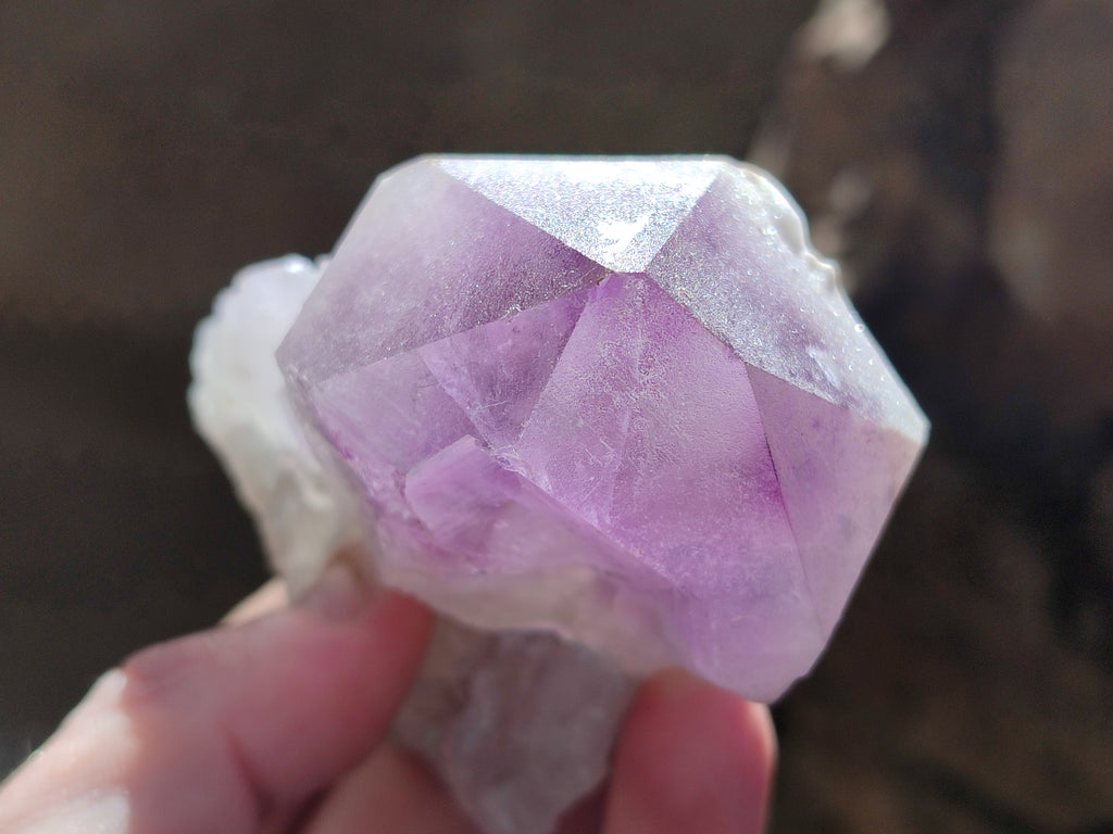 Natural Jacaranda Amethyst Quartz Cluster x 6 From Mumbwa, Zambia - Toprock Gemstones and Minerals 