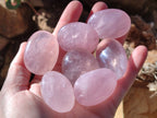 Polished Rose Quartz Palm Stones x 45 From Ambatondrazaka, Madagascar - Toprock Gemstones and Minerals 