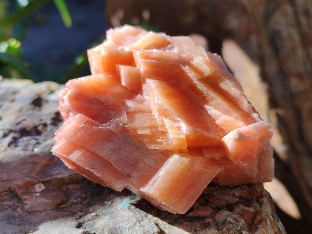 Natural Rhombohedral Sunset Orange Calcite Specimens x 6 From Spitzkop, Namibia - Toprock Gemstones and Minerals 