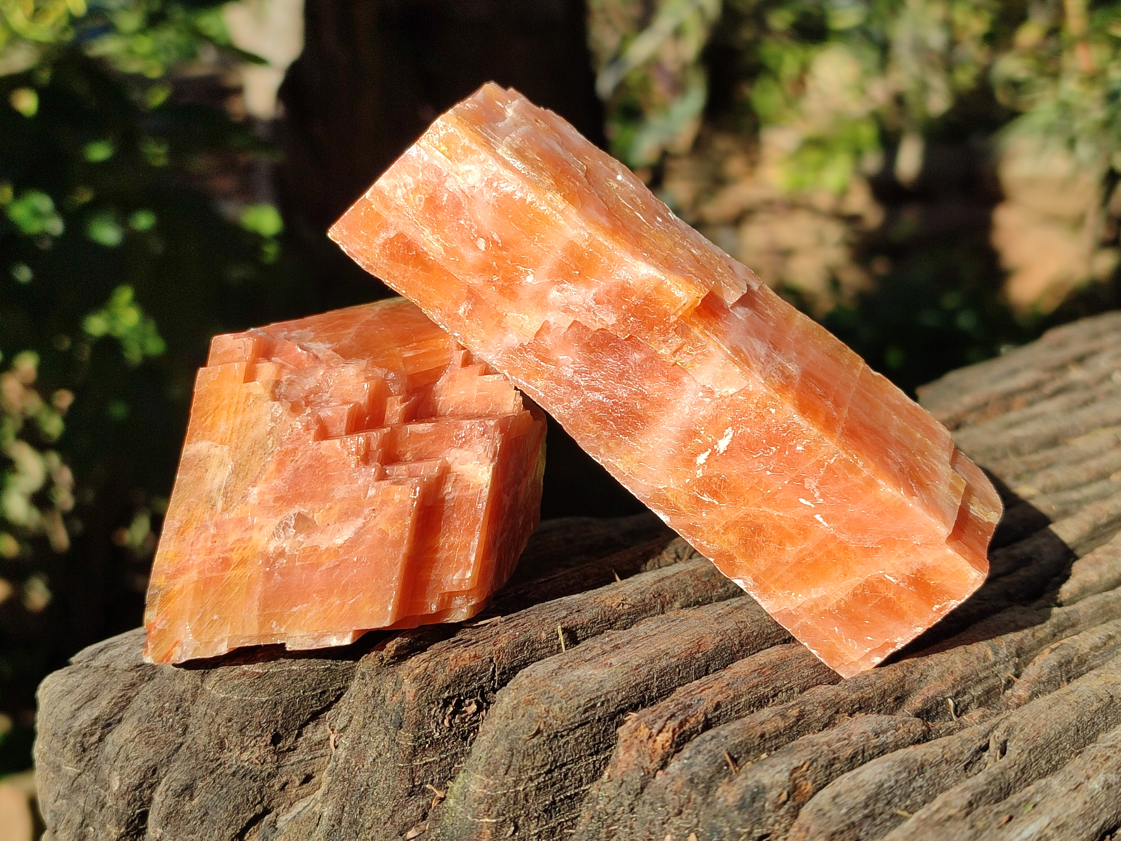 Natural Rhombohedral Sunset Orange Calcite Specimens x 6 From Spitzkop, Namibia - Toprock Gemstones and Minerals 