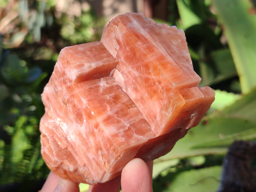 Natural Rhombohedral Sunset Orange Calcite Specimens x 6 From Spitzkop, Namibia - Toprock Gemstones and Minerals 