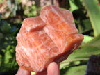 Natural Rhombohedral Sunset Orange Calcite Specimens x 6 From Spitzkop, Namibia - Toprock Gemstones and Minerals 