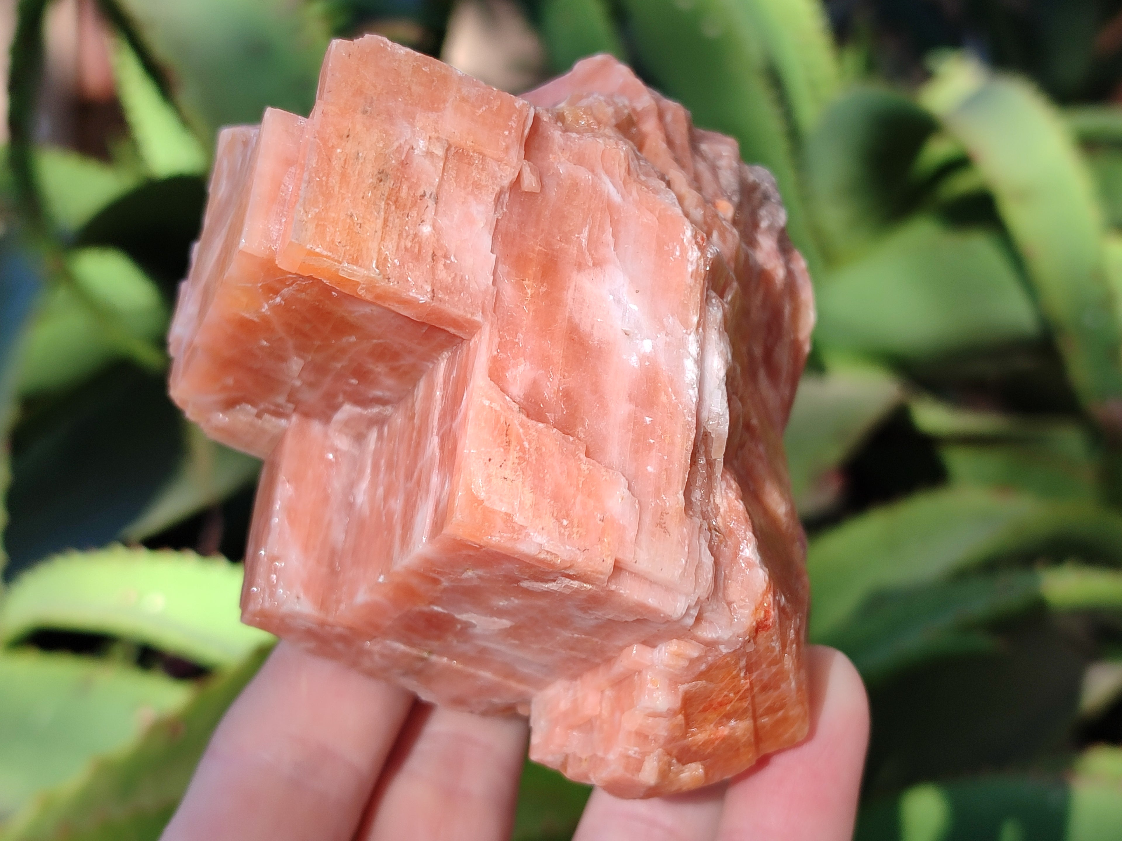 Natural Rhombohedral Sunset Orange Calcite Specimens x 6 From Spitzkop, Namibia - Toprock Gemstones and Minerals 