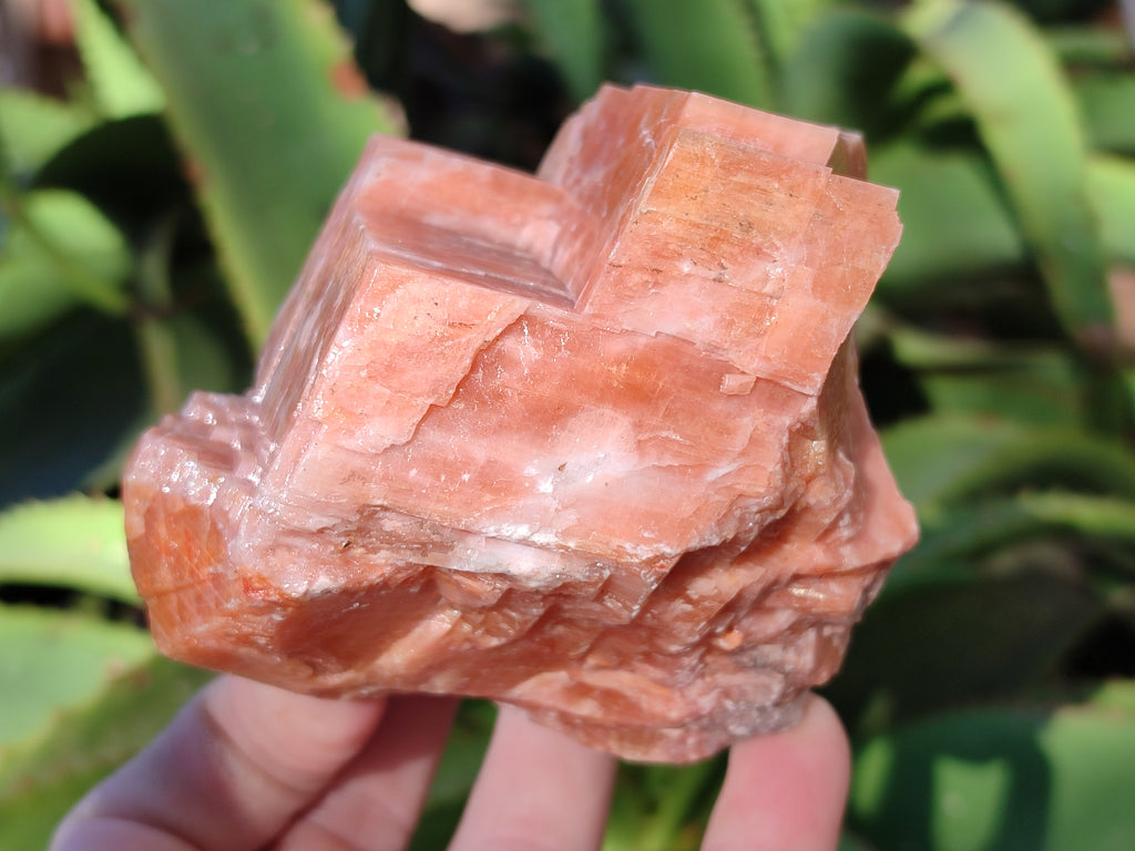 Natural Rhombohedral Sunset Orange Calcite Specimens x 6 From Spitzkop, Namibia - Toprock Gemstones and Minerals 