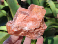 Natural Rhombohedral Sunset Orange Calcite Specimens x 6 From Spitzkop, Namibia - Toprock Gemstones and Minerals 