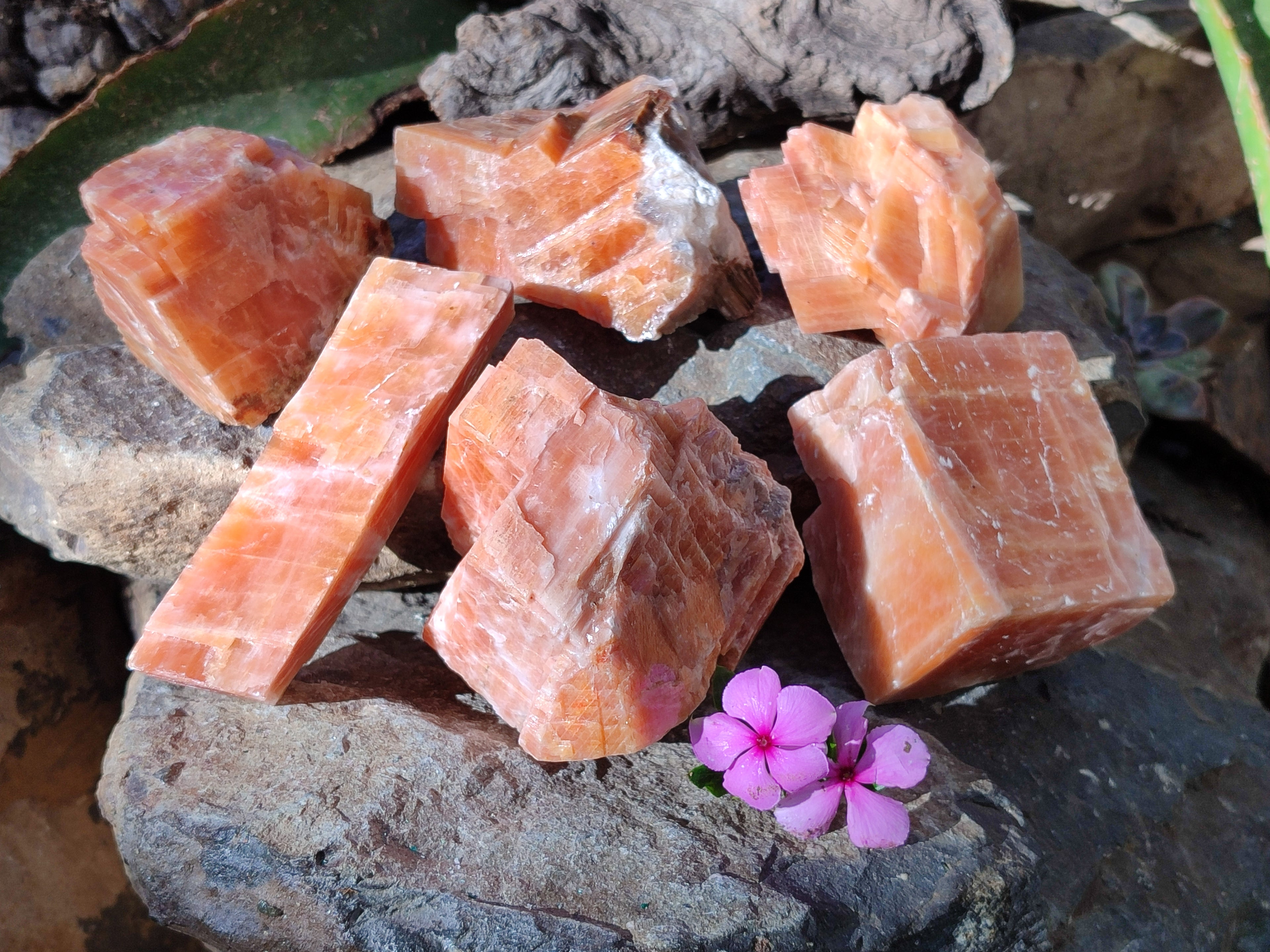 Natural Rhombohedral Sunset Orange Calcite Specimens x 6 From Spitzkop, Namibia - Toprock Gemstones and Minerals 