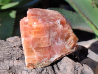 Natural Rhombohedral Sunset Orange Calcite Specimens x 6 From Spitzkop, Namibia - Toprock Gemstones and Minerals 