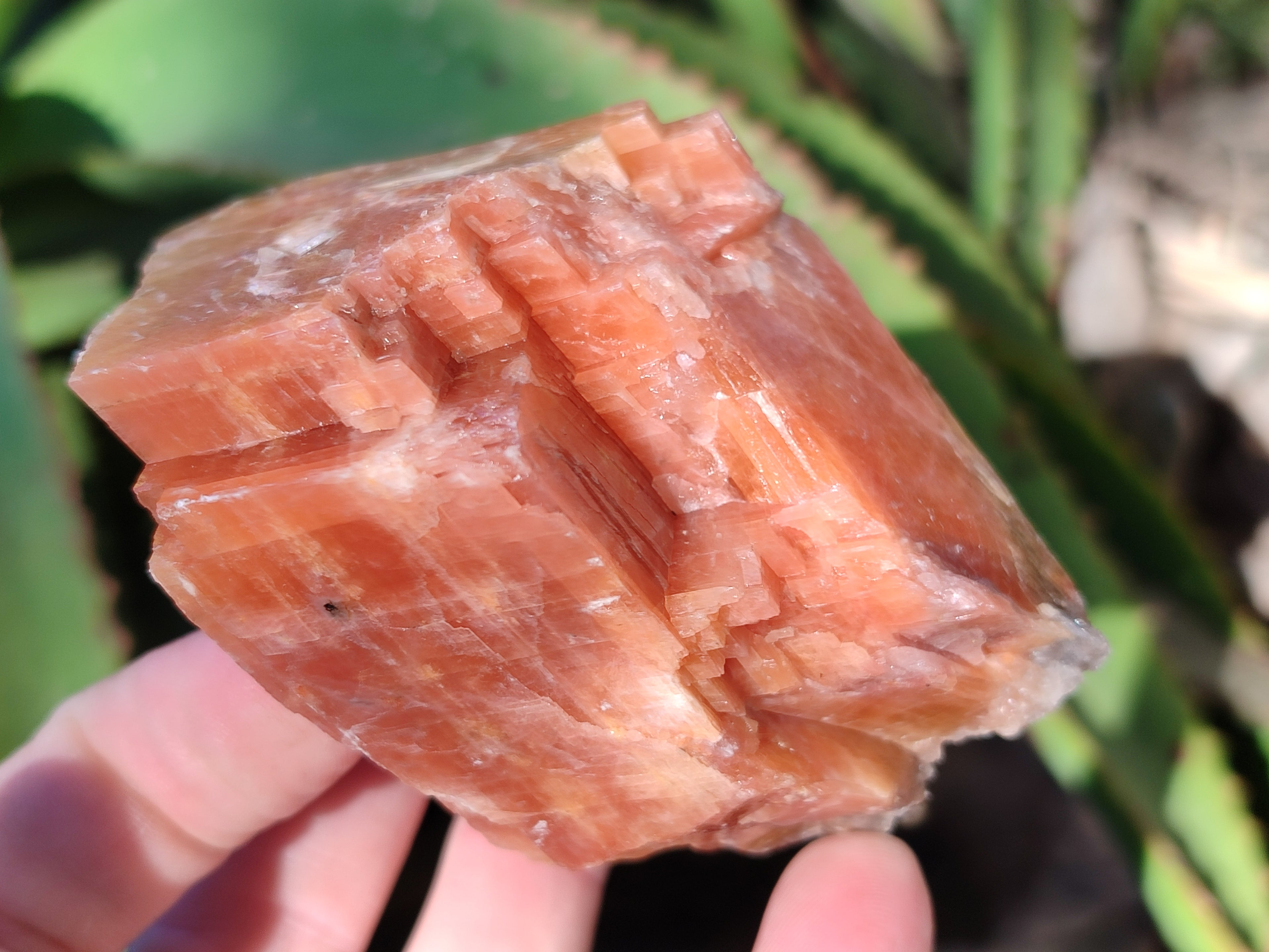 Natural Rhombohedral Sunset Orange Calcite Specimens x 6 From Spitzkop, Namibia - Toprock Gemstones and Minerals 