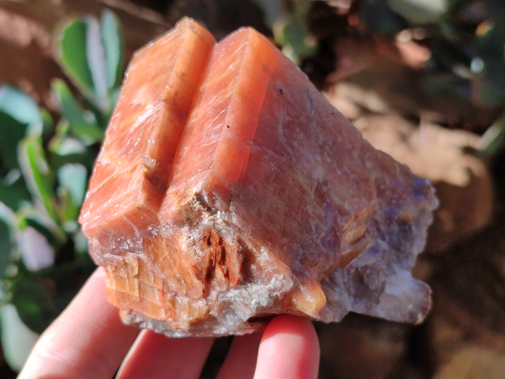 Natural Rhombohedral Sunset Orange Calcite Specimens x 6 From Spitzkop, Namibia - Toprock Gemstones and Minerals 