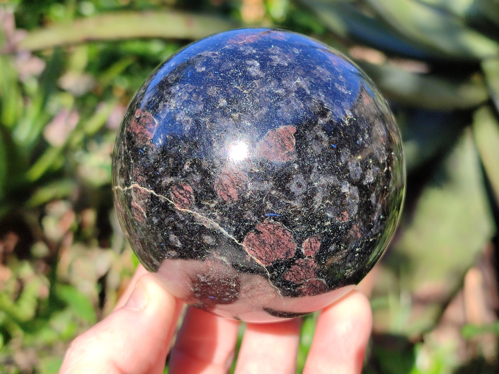 Polished Rare Blue Spark Iolite Water Saphire Spheres x 2 From Ambatofinandrahana, Madagascar - Toprock Gemstones and Minerals 