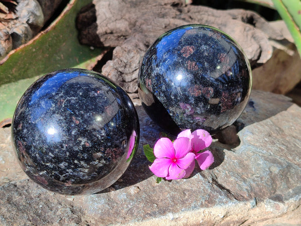 Polished Rare Blue Spark Iolite Water Saphire Spheres x 2 From Ambatofinandrahana, Madagascar