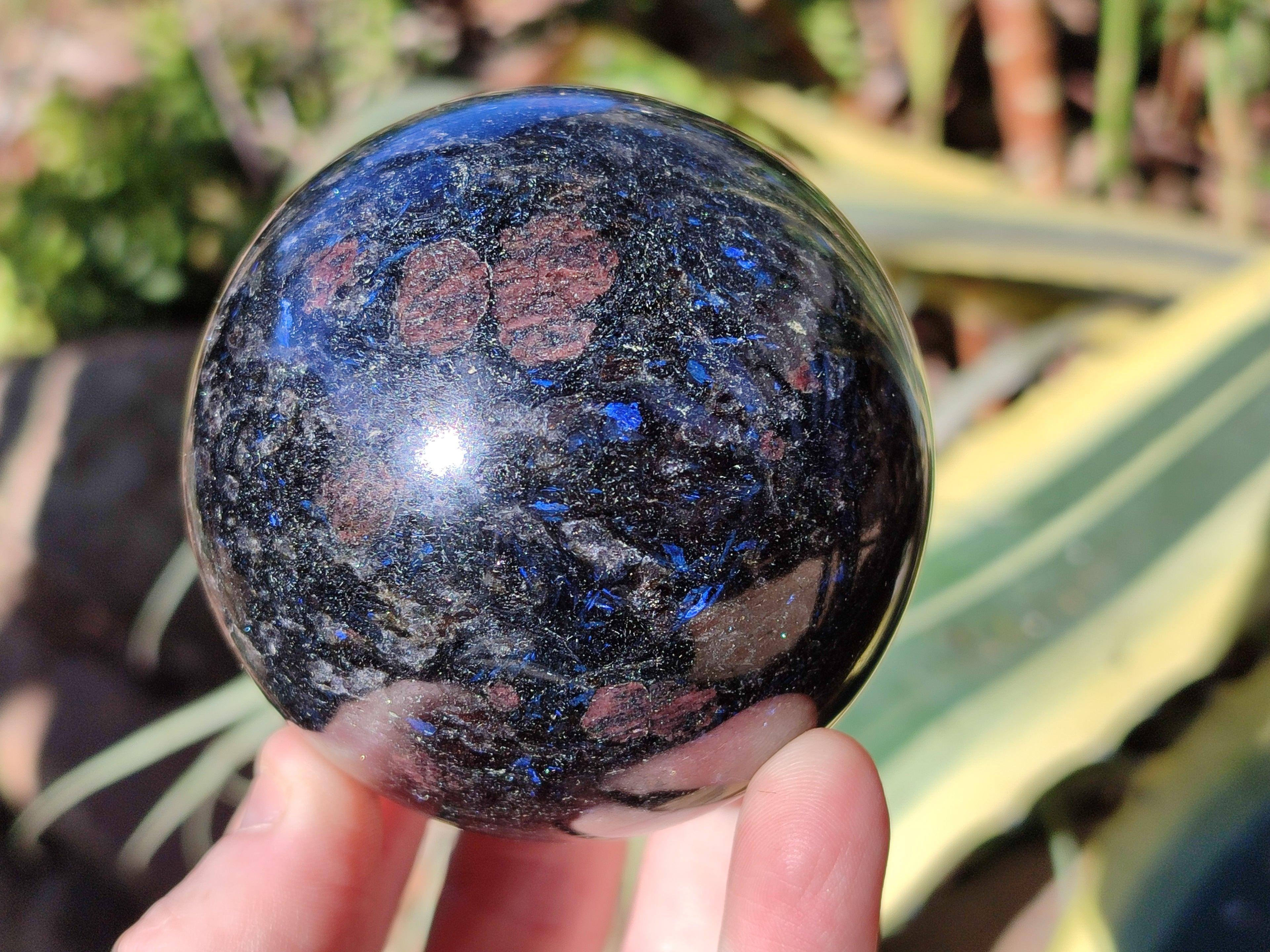 Polished Rare Blue Spark Iolite Water Saphire Spheres x 2 From Ambatofinandrahana, Madagascar - Toprock Gemstones and Minerals 