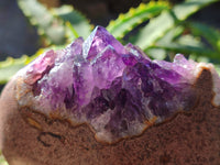 Polished on One Side Amethyst Agate Geodes and Clusters x 3 From Madagascar