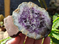Polished on One Side Amethyst Agate Geodes and Clusters x 3 From Madagascar