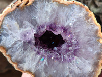 Polished on One Side Amethyst Agate Geodes and Clusters x 3 From Madagascar