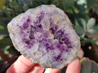 Polished on One Side Amethyst Agate Geodes and Clusters x 3 From Madagascar