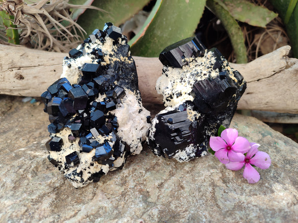 Natural Cascading Schorl Black Tourmaline Specimens with Feldspar x 2 From Erongo, Namibia